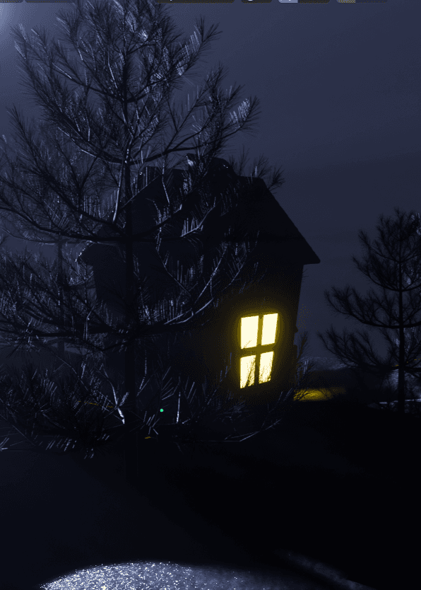 Snowy Night